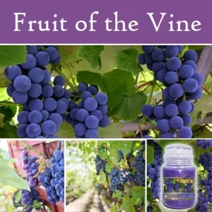 Fruit of the Vine
