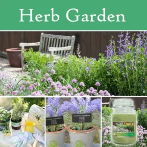 Herb Garden