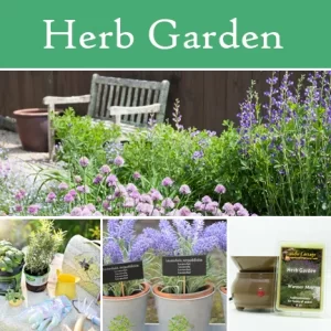 Herb Garden