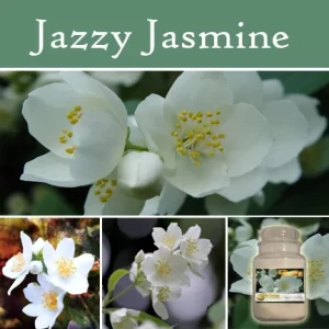 Jazzy Jasmine