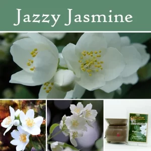 Jazzy Jasmine