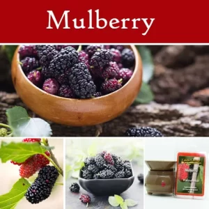 Mulberry