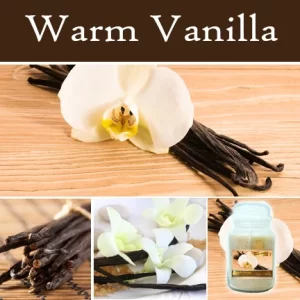 Warm Vanilla